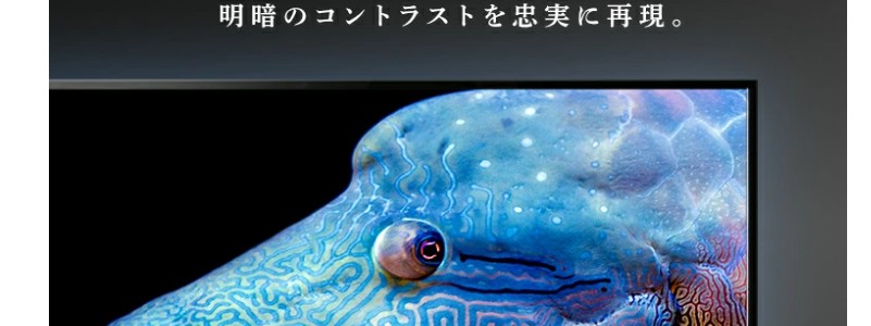 �A�C���X�I�[���} Fiona 55UB10PC 55V�^ 4K�t��TV W�`���[�i�[ ���T�C�g